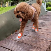 Comfy Paw Shoes