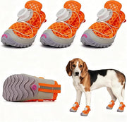 Comfy Paw Shoes